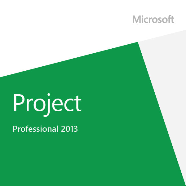 Microsoft Project 2013 Professional